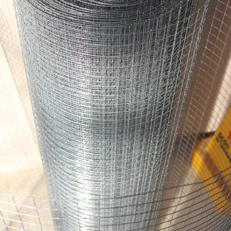 鍍鋅電焊網(wǎng)